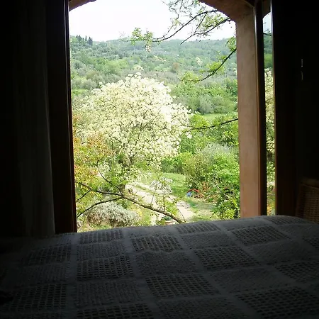 Fattoria Il Leccio Independent On Florence Hills Apartment